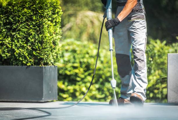 Animal Enclosure Cleaning in Salunga, PA